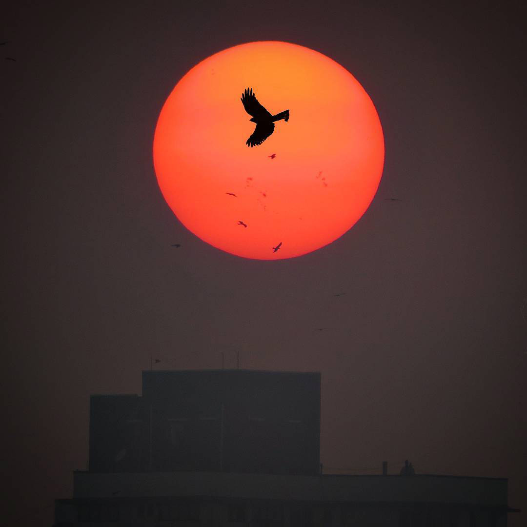 Setting Sun