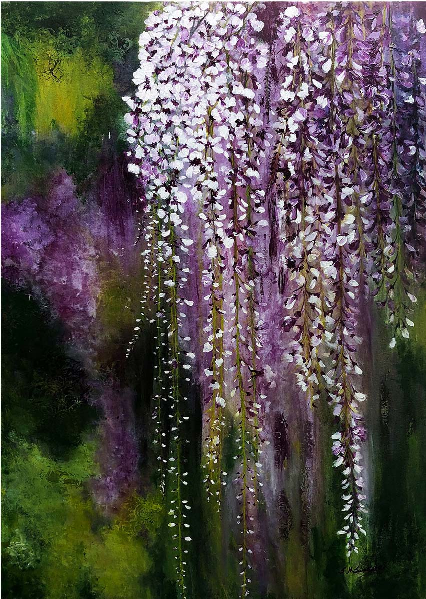 Hanging Wisteria